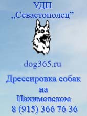 Дрессировка собак на Нахимовском